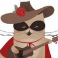 Illustration du profil de Zorro